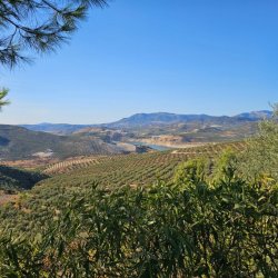 20250901_184814-1024x768