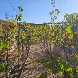 20250901_184901-1024x768