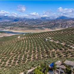 356644338_10225171522457023_5955067141683943555_n