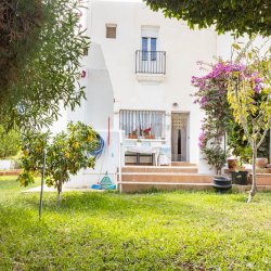 VZ1635 Jardines del Palmeral Mojacar - 45