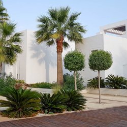 VZ1827 Macenas Mojacar Los Patios - 45