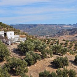 3095, Cortijo Canda - Iznajar -J