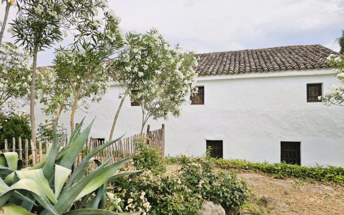 20250630_175442-copy-1024x768