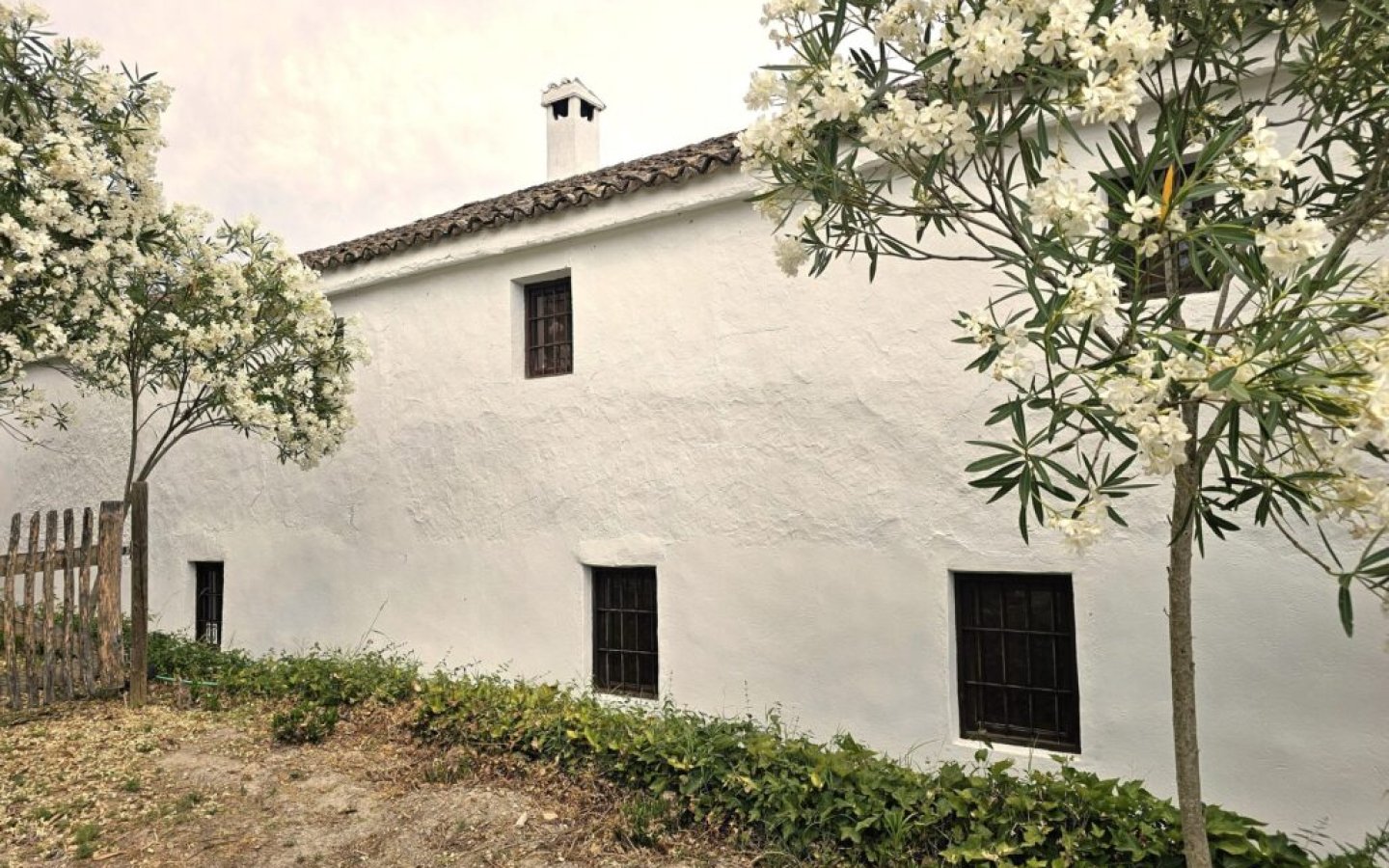 20250630_175526-copy-1024x768