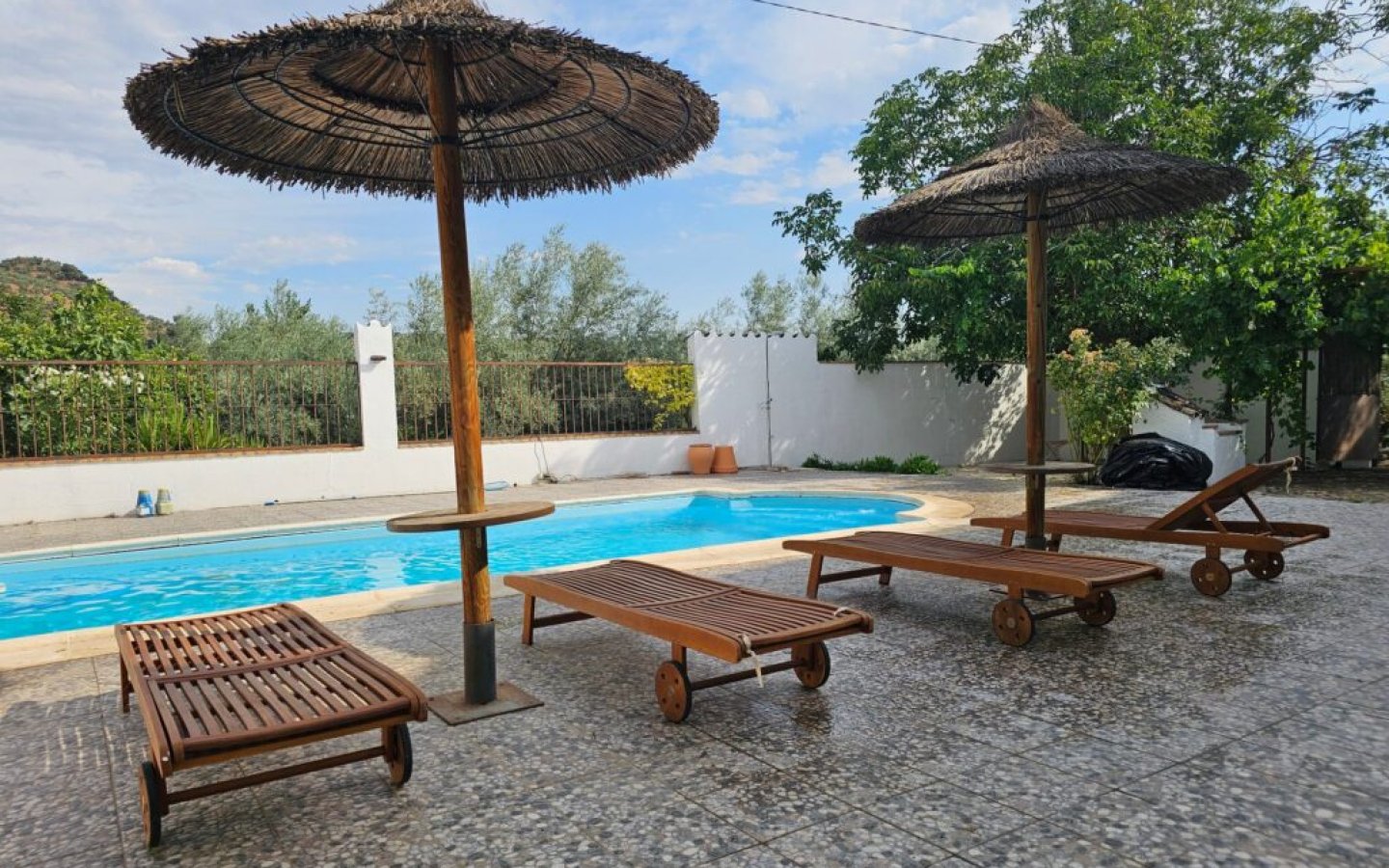 20250630_182017-1024x768 (1)