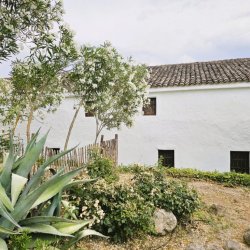 20250630_175442-copy-1024x768