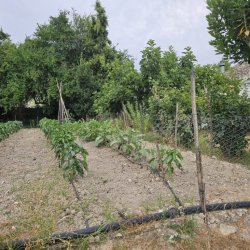 20250630_175458-copy-1024x768