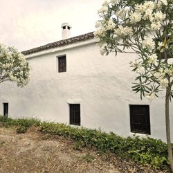 20250630_175526-copy-1024x768