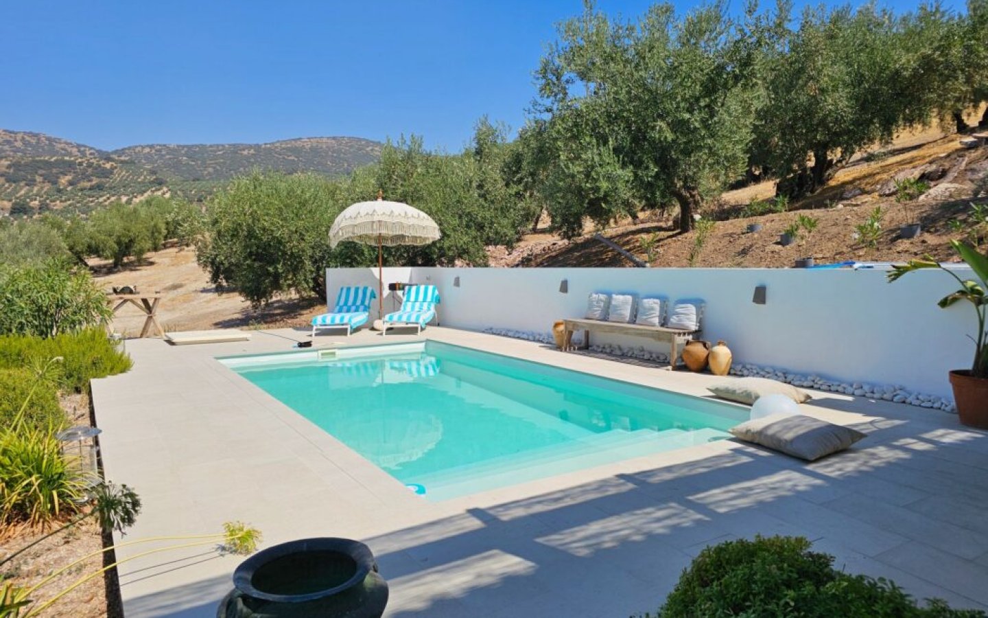 20250822_122530-1024x768