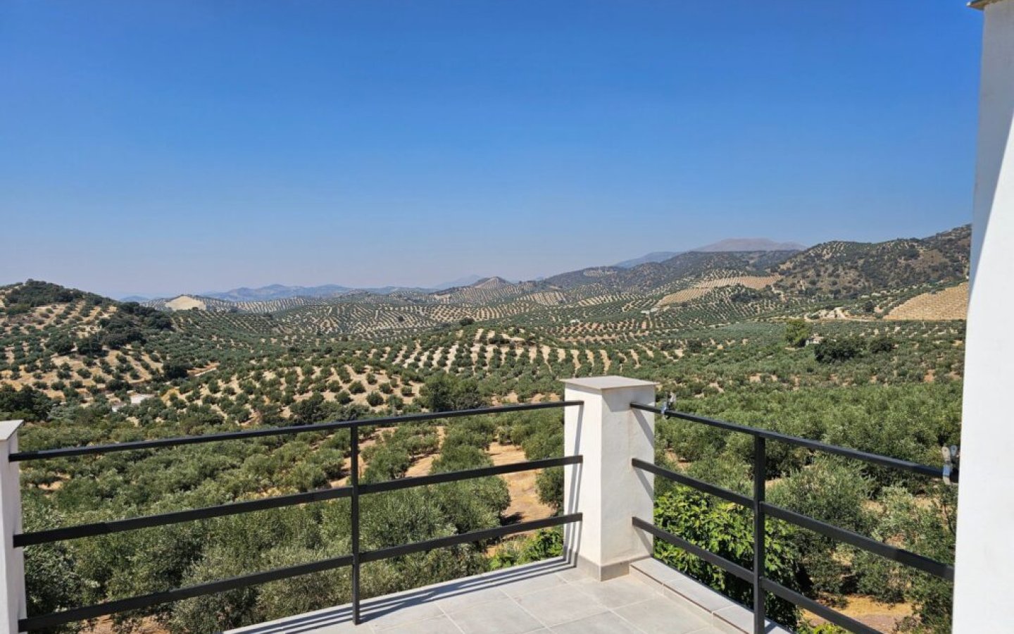 20250822_123656-1024x768