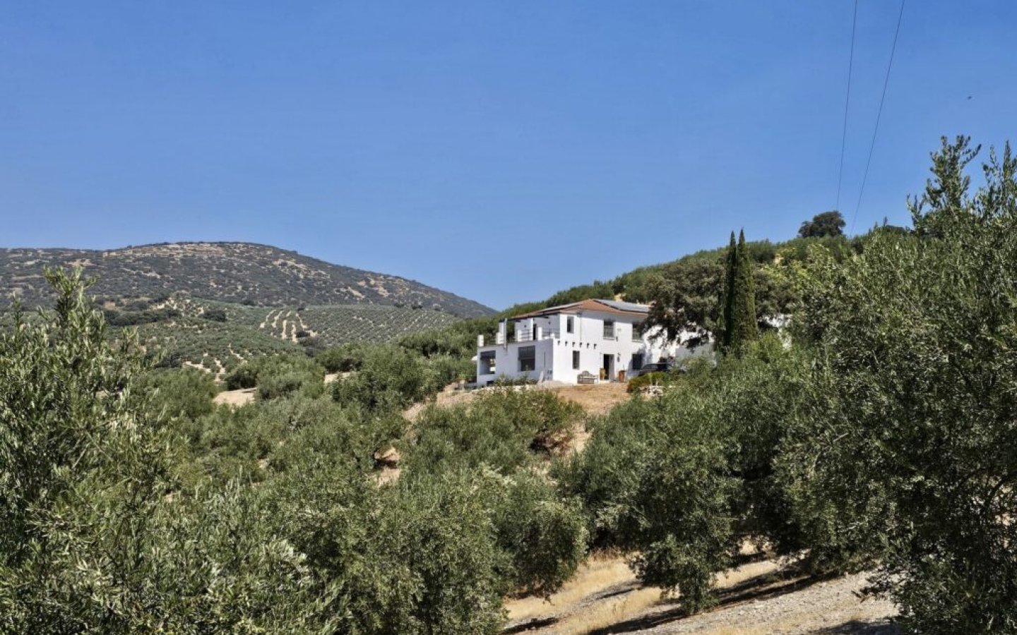 20250822_131643-1024x768