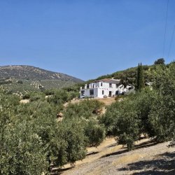 20250822_131643-1024x768