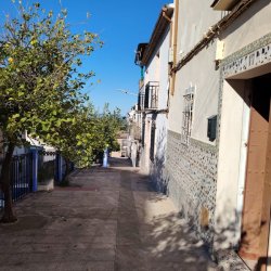 IMG-20260316-WA0012 (1)