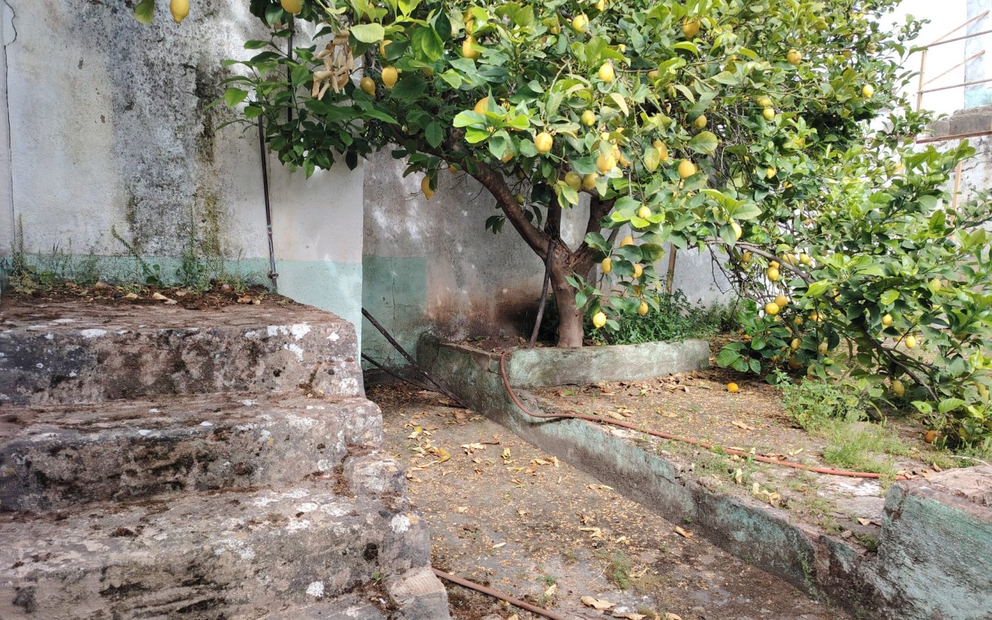 IMG-20260513-WA0003