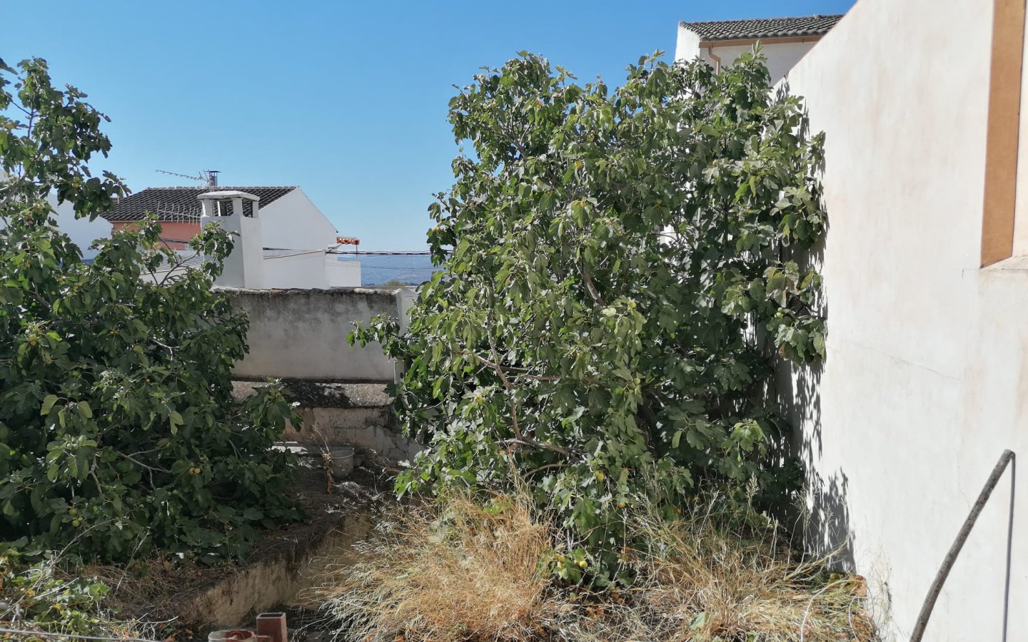 IMG-20260531-WA0031