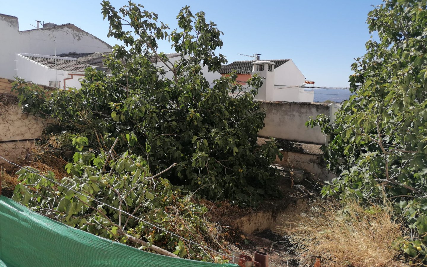 IMG-20260531-WA0032