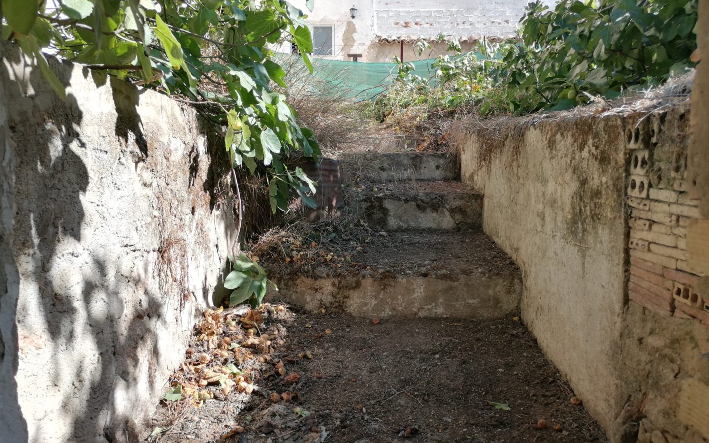 IMG-20260531-WA0040