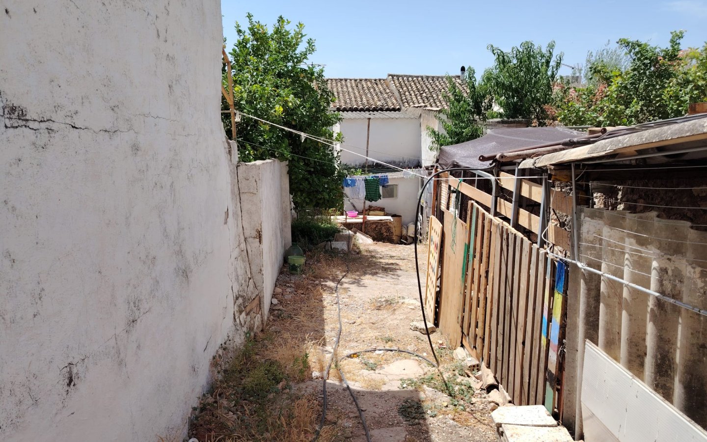 IMG-20260614-WA0046