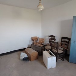 IMG-20260701-WA0022