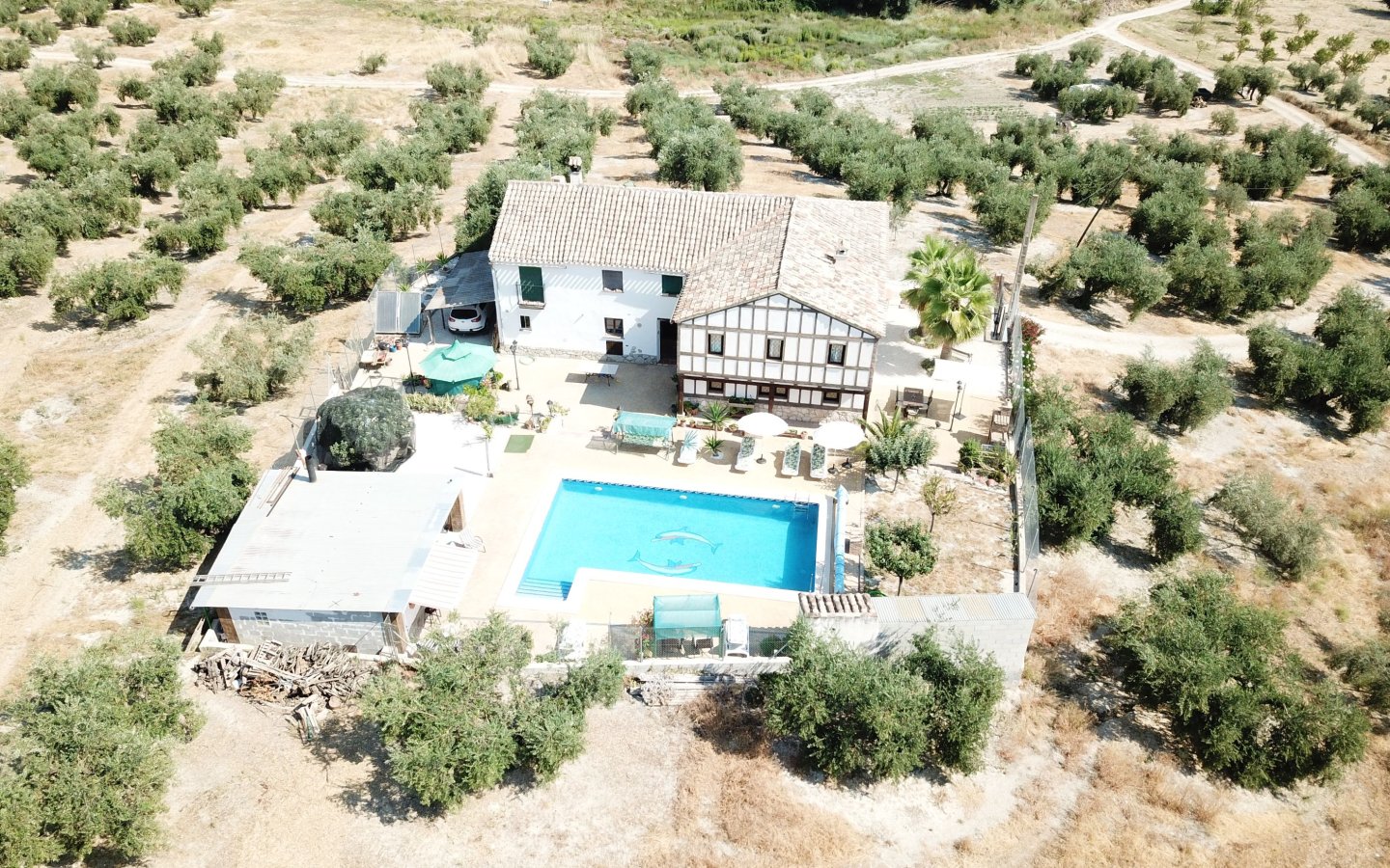 DJI_0001