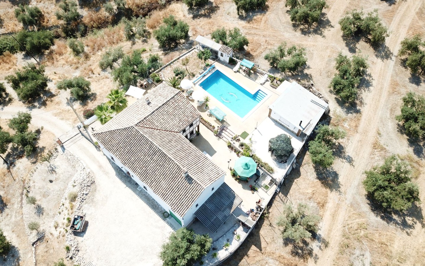 DJI_0007