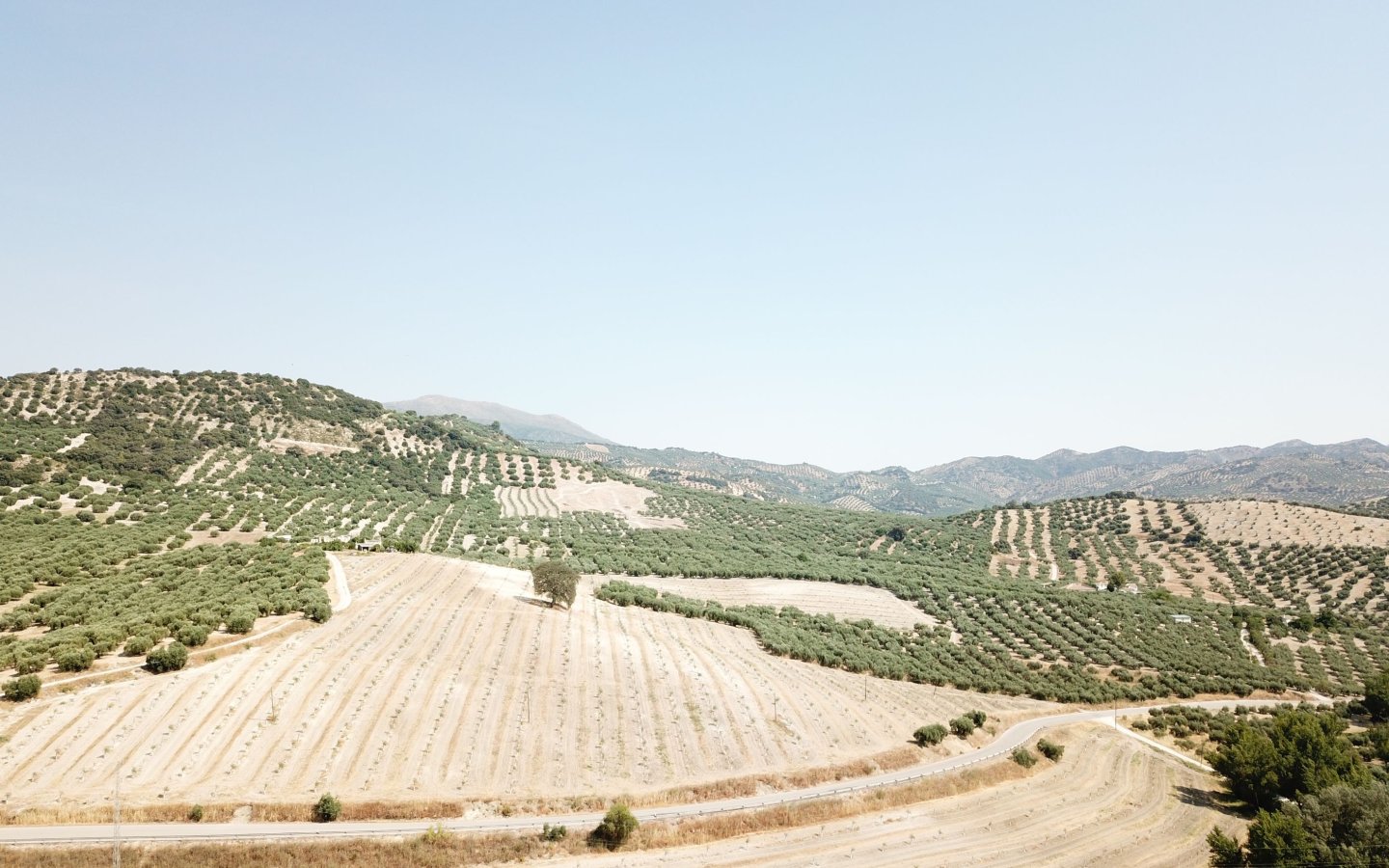 DJI_0009