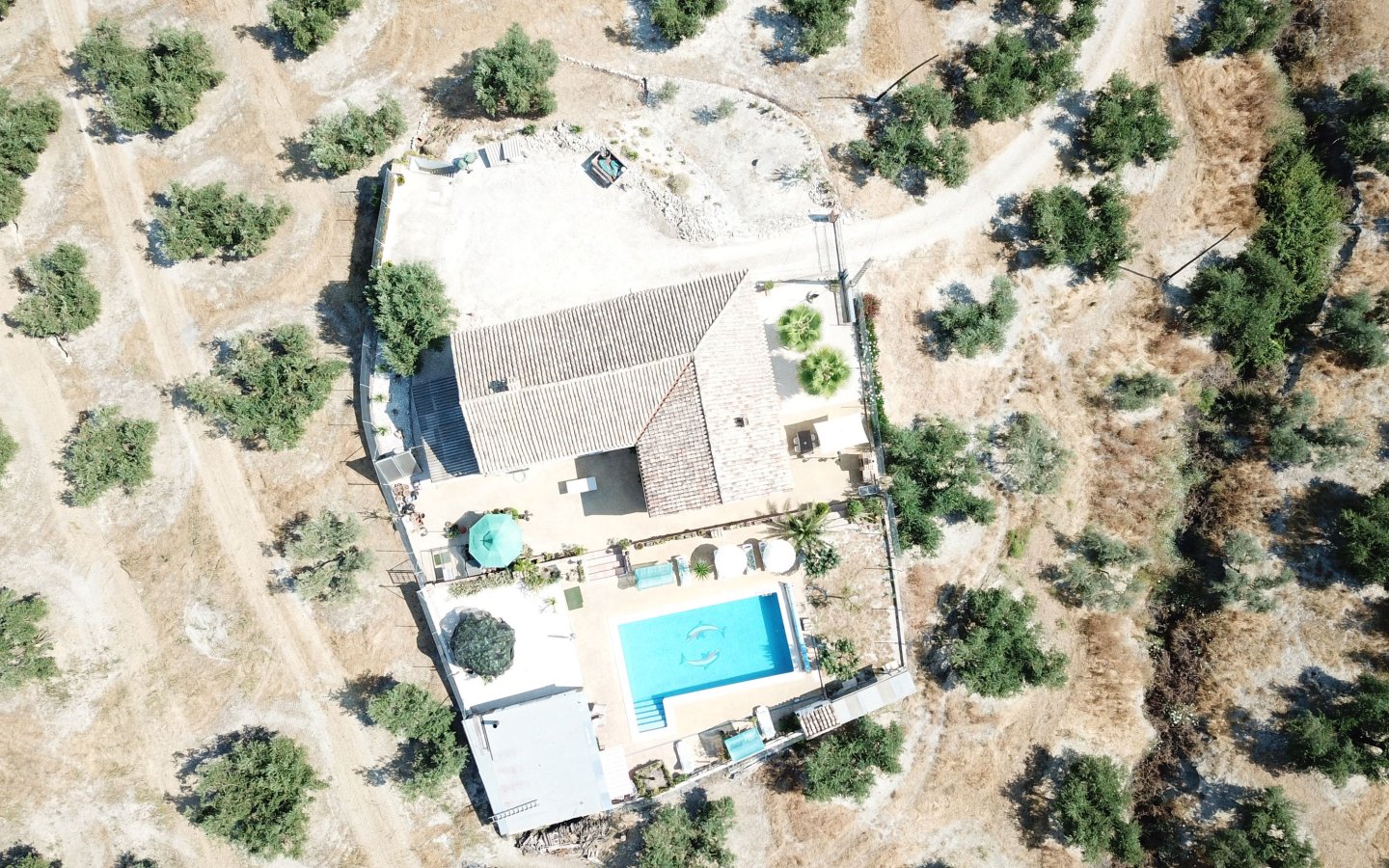 DJI_0010