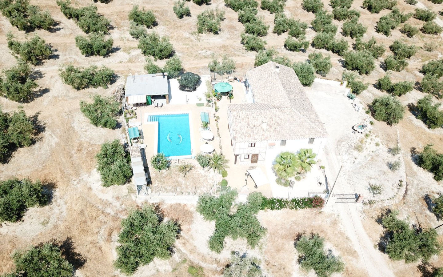 DJI_0011