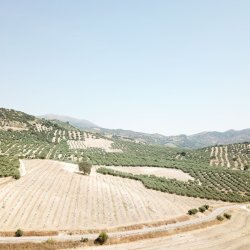 DJI_0009