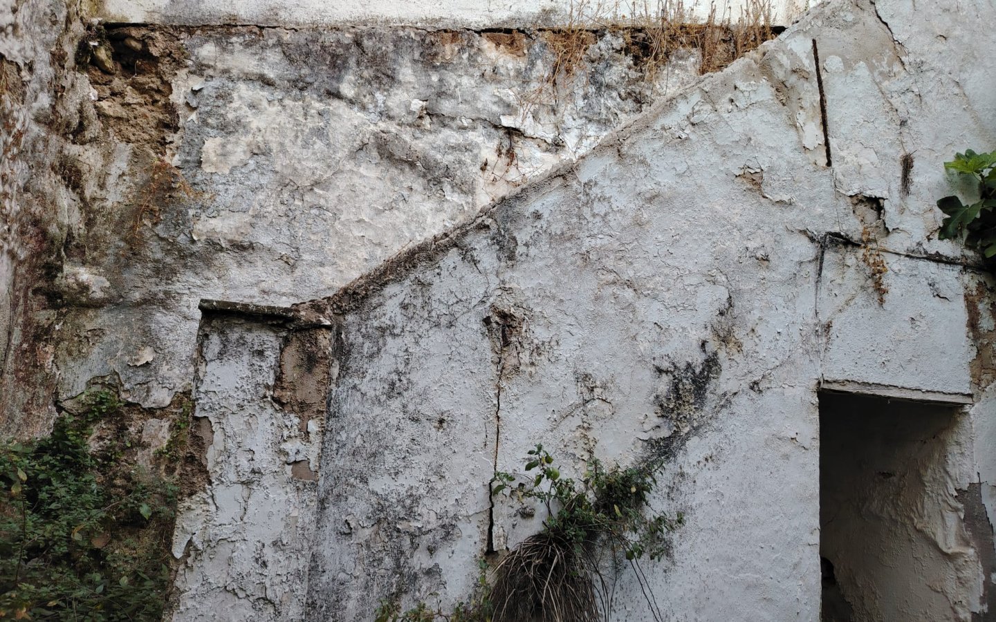IMG-20260708-WA0030