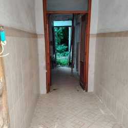 IMG-20260708-WA0022