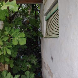 IMG-20260708-WA0026