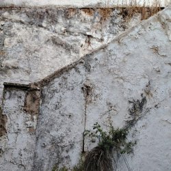 IMG-20260708-WA0030