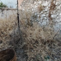 IMG-20260707-WA0036