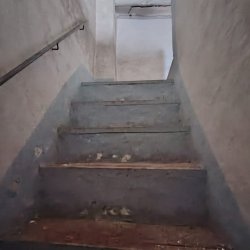 IMG-20260707-WA0049