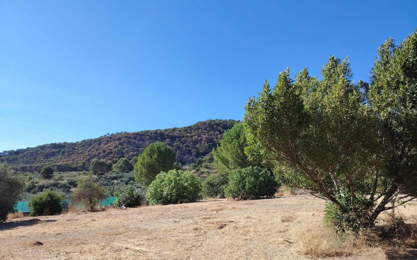 IMG-20260713-WA0026