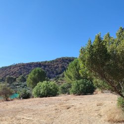 IMG-20260713-WA0026
