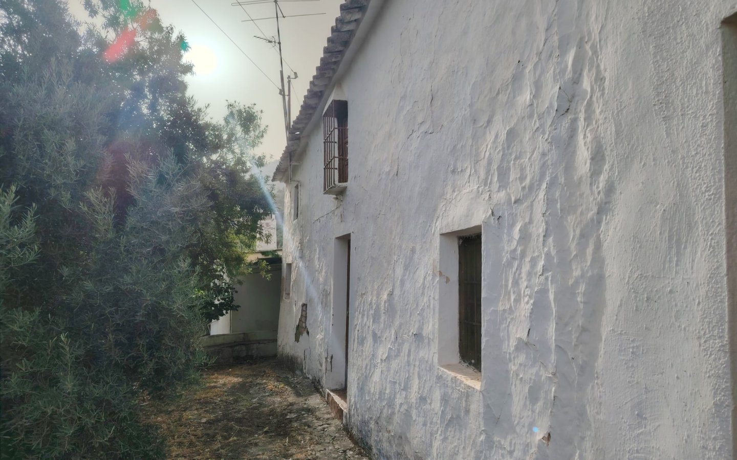 IMG-20260722-WA0013