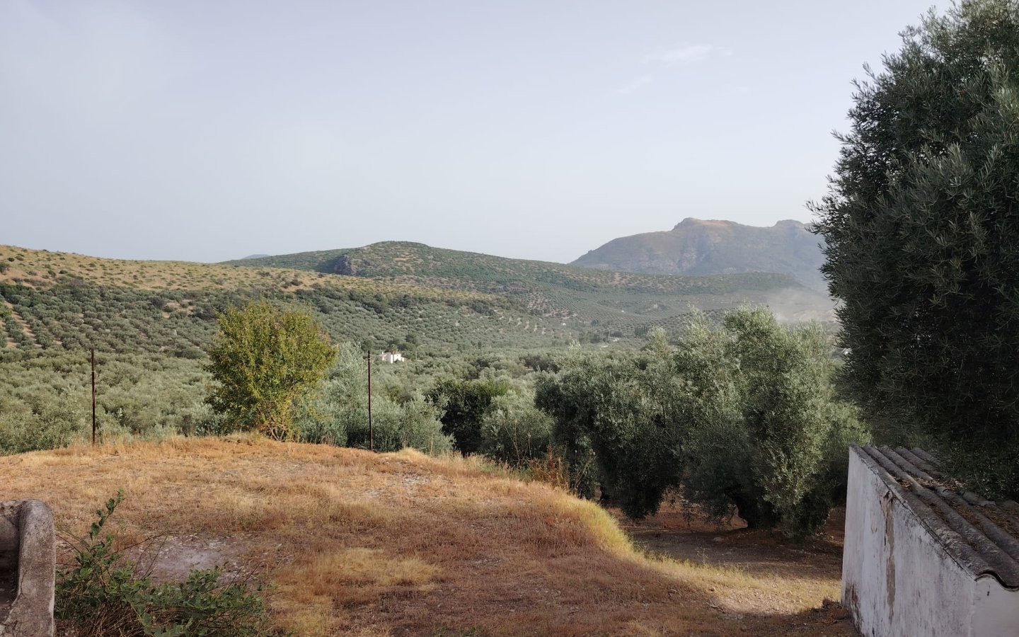 IMG-20260722-WA0018