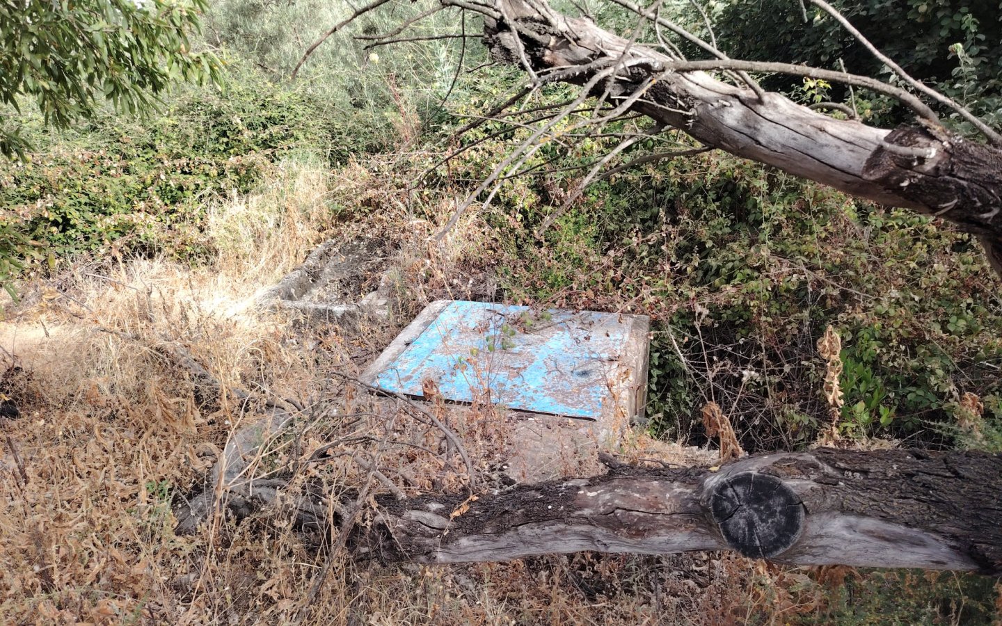 IMG-20260722-WA0044