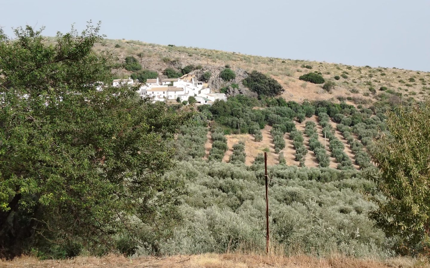 Cortijo Carrizal - Rute