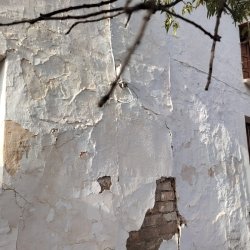 IMG-20260722-WA0012