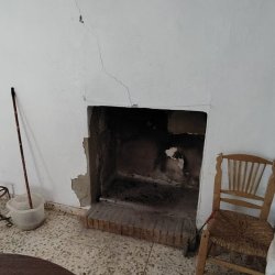 IMG-20260722-WA0014