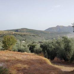 IMG-20260722-WA0018