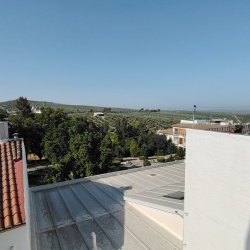 IMG-20260818-WA0041